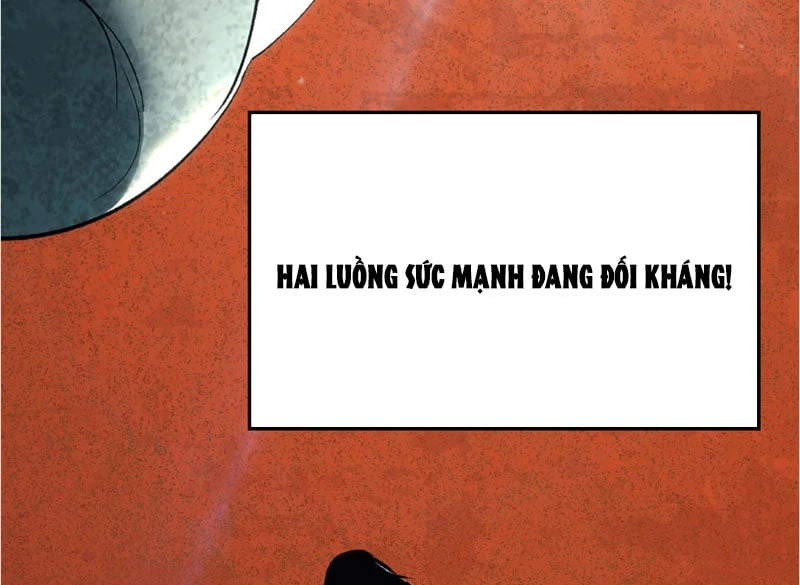 Đỉnh Cấp Khí Vận, Lặng Lẽ Tu Luyện Ngàn Năm Chapter 254 - 25