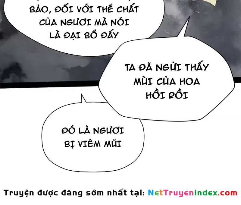 Đỉnh Cấp Khí Vận, Lặng Lẽ Tu Luyện Ngàn Năm Chapter 255 - 33