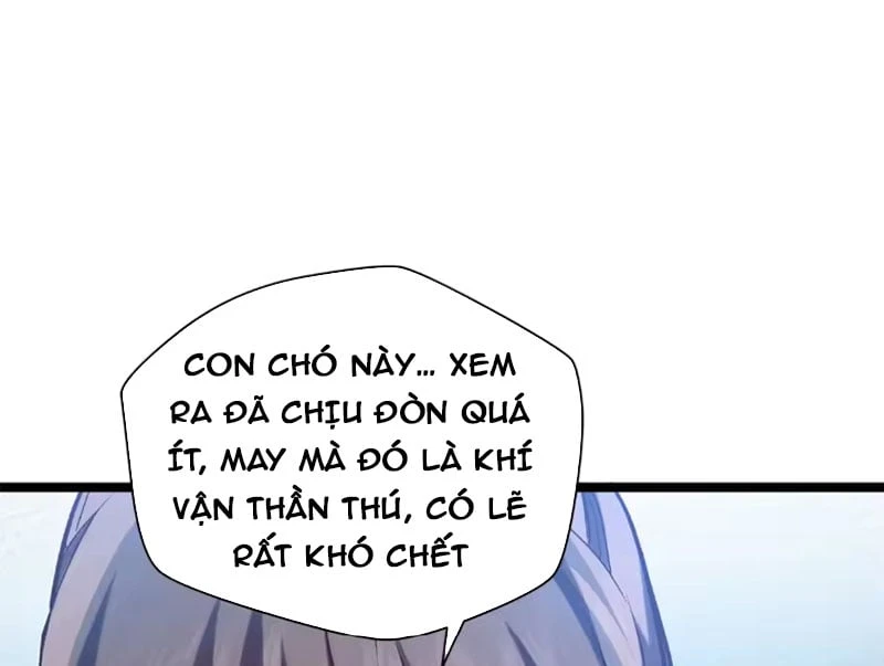 Đỉnh Cấp Khí Vận, Lặng Lẽ Tu Luyện Ngàn Năm Chapter 255 - 96