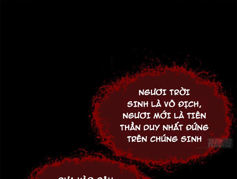 Đỉnh Cấp Khí Vận, Lặng Lẽ Tu Luyện Ngàn Năm Chapter 256 - 97