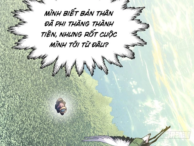 Đỉnh Cấp Khí Vận, Lặng Lẽ Tu Luyện Ngàn Năm Chapter 256 - 117