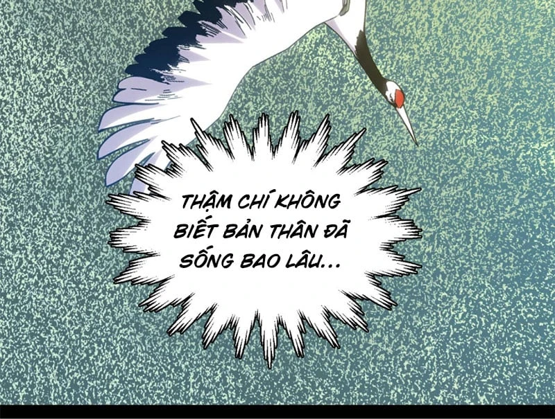 Đỉnh Cấp Khí Vận, Lặng Lẽ Tu Luyện Ngàn Năm Chapter 256 - 119