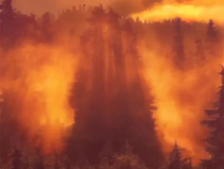 Đỉnh Cấp Khí Vận, Lặng Lẽ Tu Luyện Ngàn Năm Chapter 260 - 51