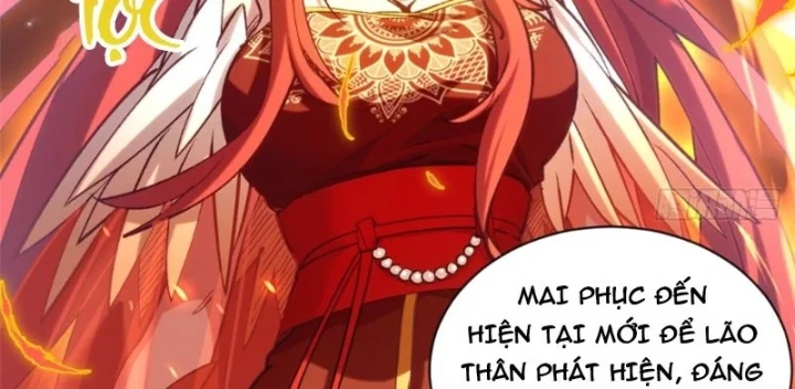 Đỉnh Cấp Khí Vận, Lặng Lẽ Tu Luyện Ngàn Năm Chapter 261 - 51