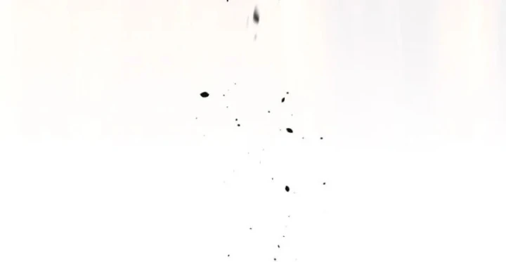 Đỉnh Cấp Khí Vận, Lặng Lẽ Tu Luyện Ngàn Năm Chapter 261 - 90