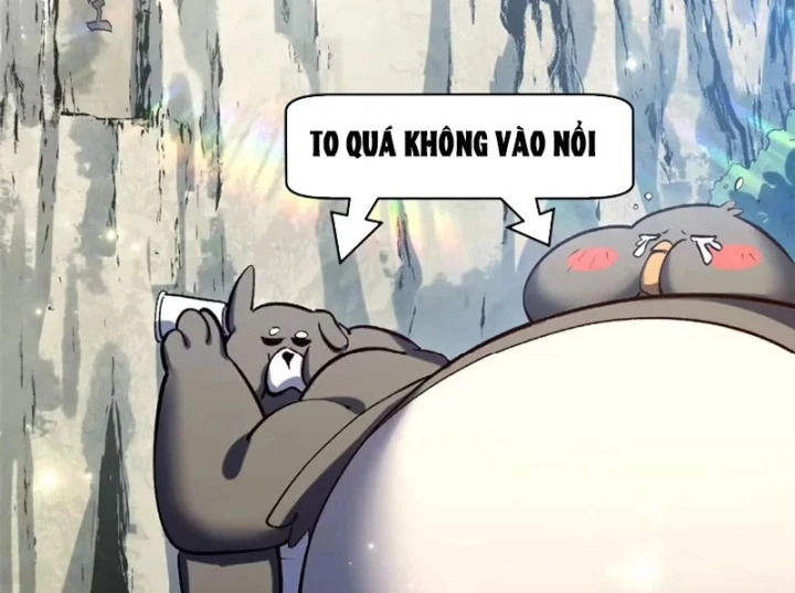 Đỉnh Cấp Khí Vận, Lặng Lẽ Tu Luyện Ngàn Năm Chapter 262 - 26