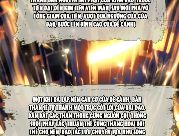 Đỉnh Cấp Khí Vận, Lặng Lẽ Tu Luyện Ngàn Năm Chapter 270 - 47