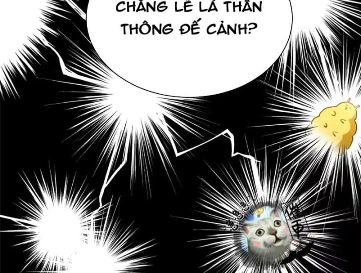 Đỉnh Cấp Khí Vận, Lặng Lẽ Tu Luyện Ngàn Năm Chapter 270 - 74