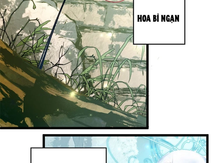Đỉnh Cấp Khí Vận, Lặng Lẽ Tu Luyện Ngàn Năm Chapter 271 - 100