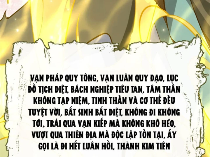 Đỉnh Cấp Khí Vận, Lặng Lẽ Tu Luyện Ngàn Năm Chapter 272 - 40