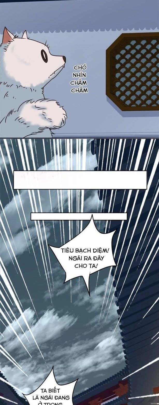 Hầu Gia Nhà Ta Không Sủng Ta Chapter 5 - 6