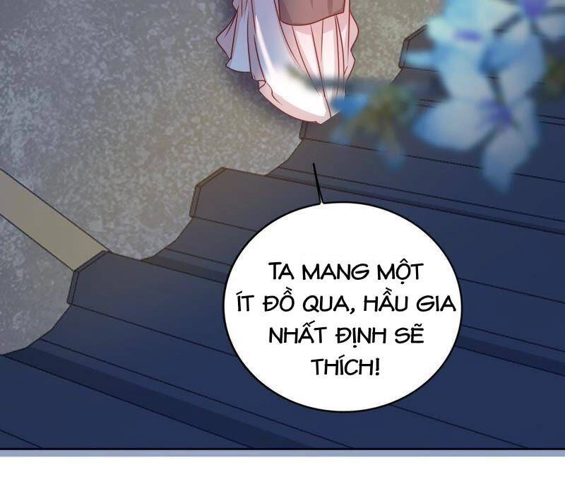 Hầu Gia Nhà Ta Không Sủng Ta Chapter 14 - 6