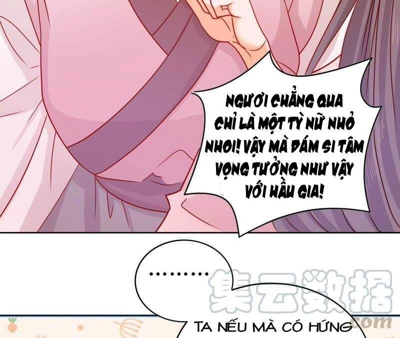 Hầu Gia Nhà Ta Không Sủng Ta Chapter 14 - 28