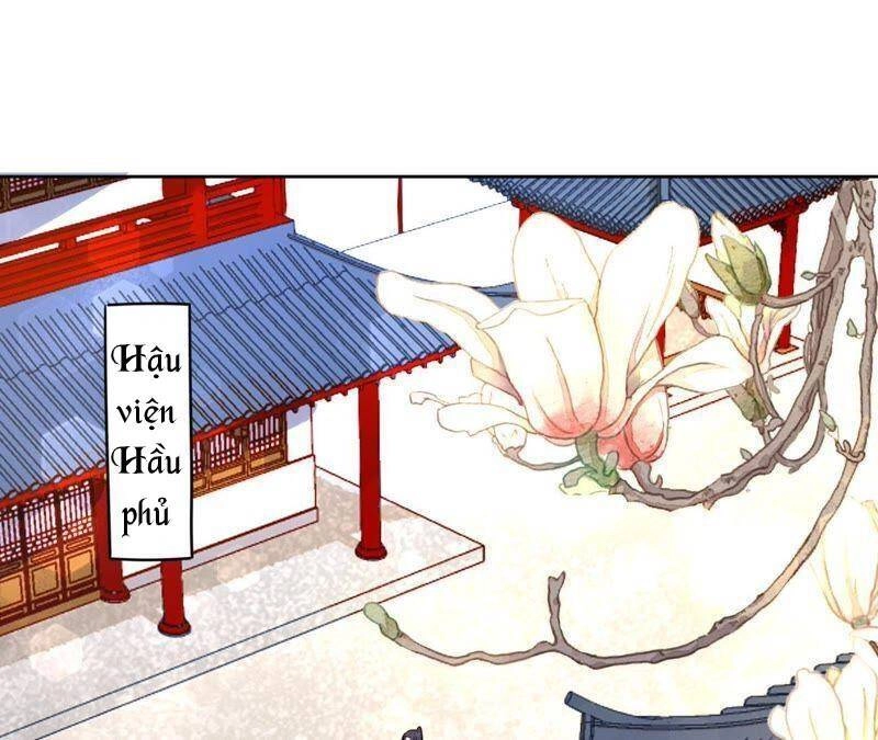 Hầu Gia Nhà Ta Không Sủng Ta Chapter 14 - 43