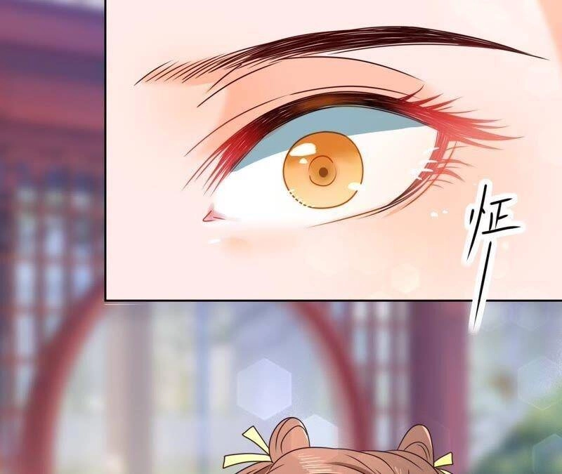 Hầu Gia Nhà Ta Không Sủng Ta Chapter 14 - 61