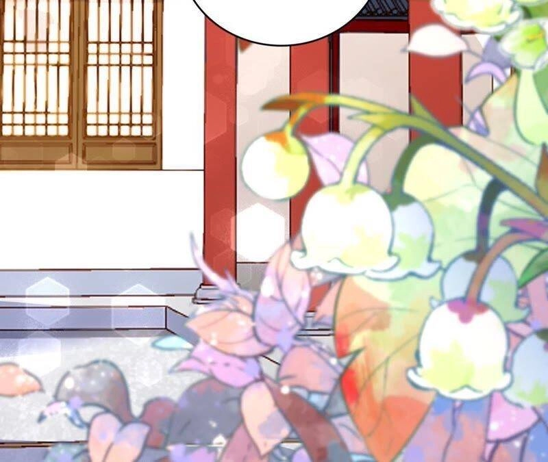 Hầu Gia Nhà Ta Không Sủng Ta Chapter 14 - 80