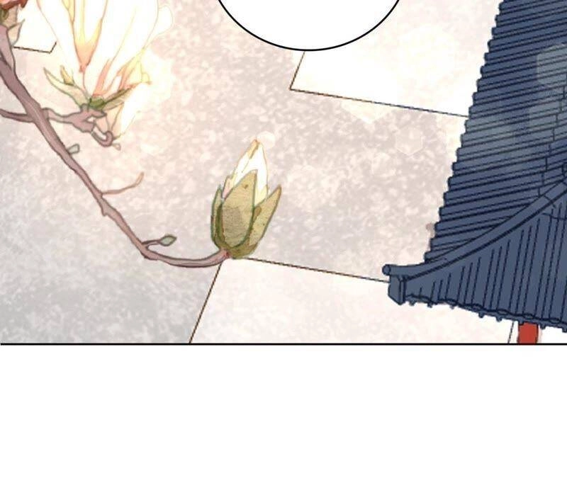 Hầu Gia Nhà Ta Không Sủng Ta Chapter 15 - 73