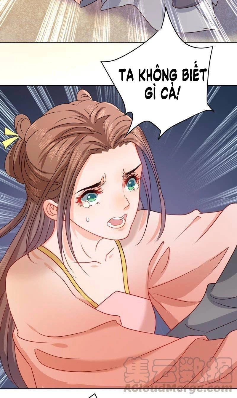 Hầu Gia Nhà Ta Không Sủng Ta Chapter 17 - 3