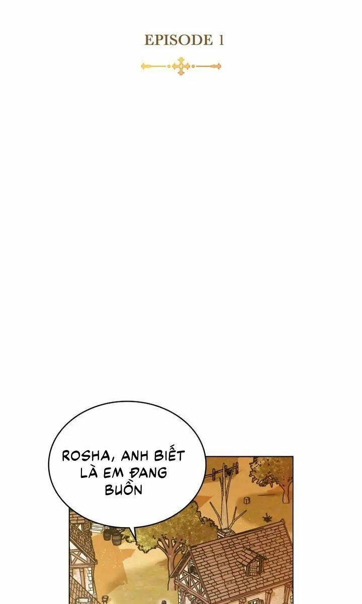 Ánh Sáng Vàng Của Bình Minh Chapter 1 - 36