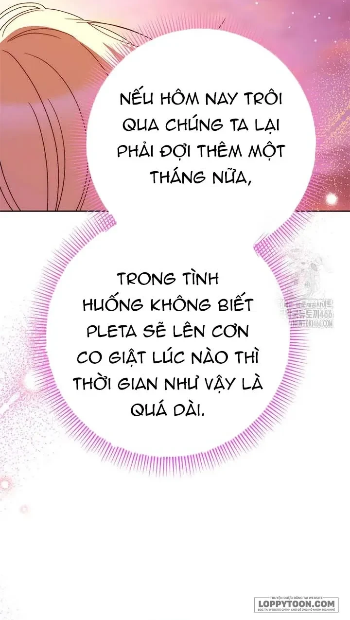 Tôi Đã Nuôi Dạy Em Gái Mình Một Cách Hoàn Hảo Chapter 79 - 33