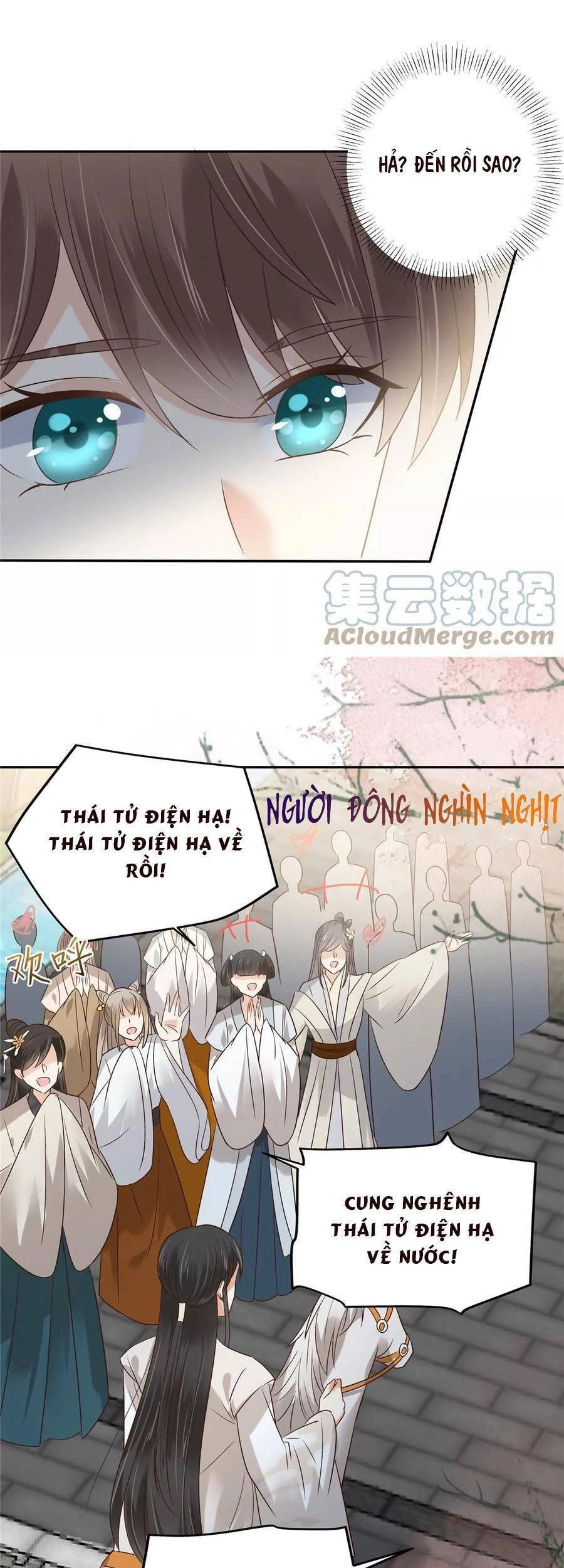 Tà Vương Phúc Hắc Sủng Nhập Cốt Chapter 168 - 12