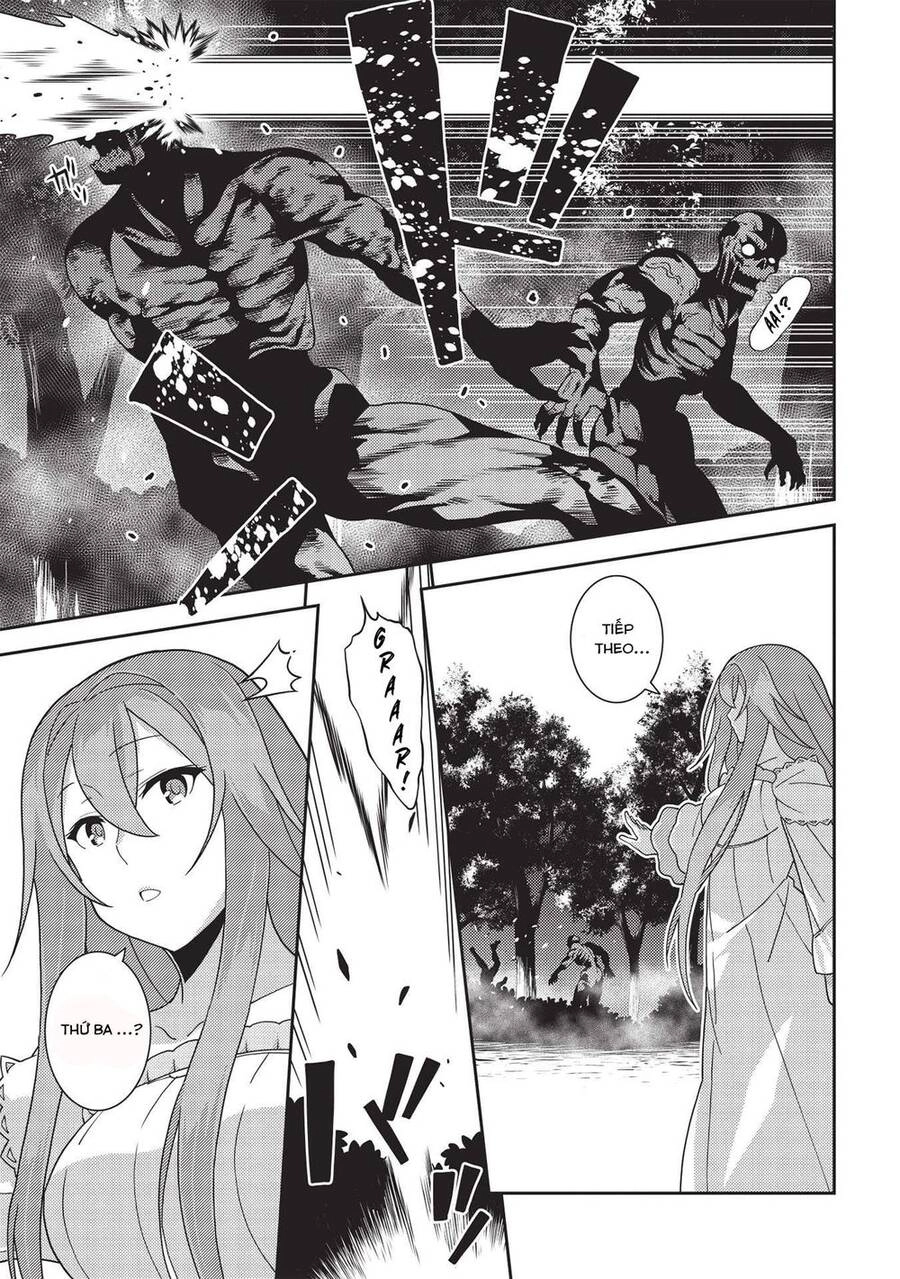 Tinh Linh Huyễn Tưởng Ký Tại Dị Giới Chapter 40 - 24