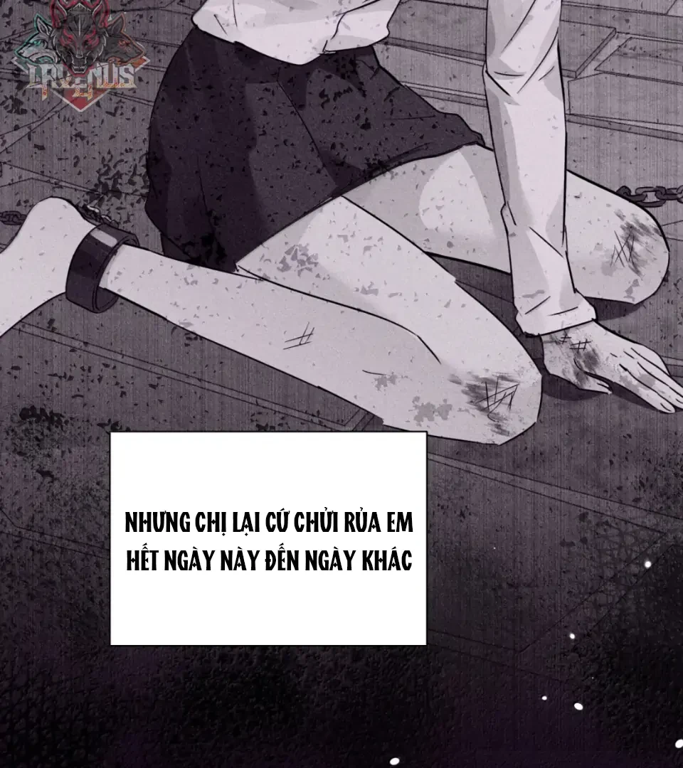 Em Gái Bệnh Hoạn Chỉ Muốn Tôi Lúc Nào Cũng Bắt Nạt Cô Ấy Chapter 97 - 41