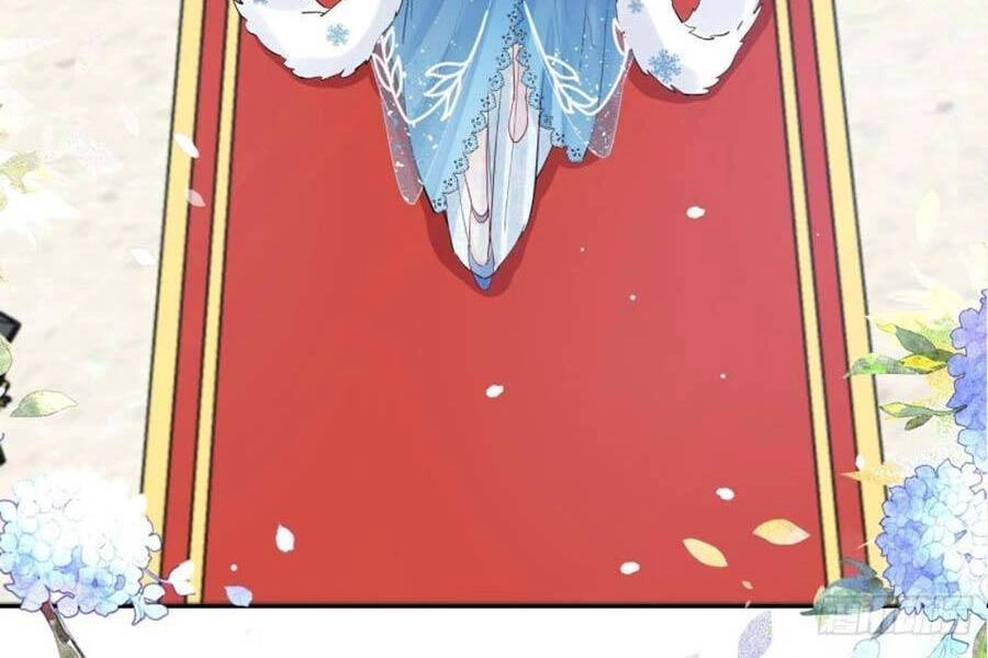 Dã Nam Nhân Đều Muốn Gả Cho Ta Chapter 1 - 29