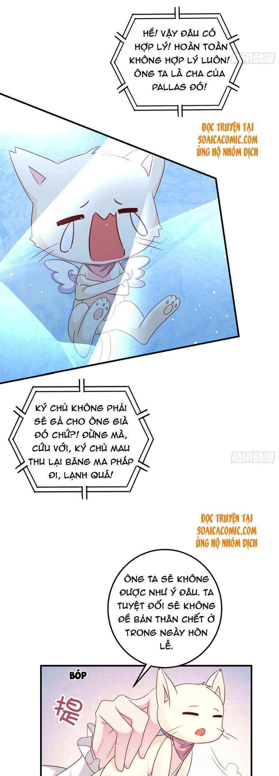 Dã Nam Nhân Đều Muốn Gả Cho Ta Chapter 10 - 23