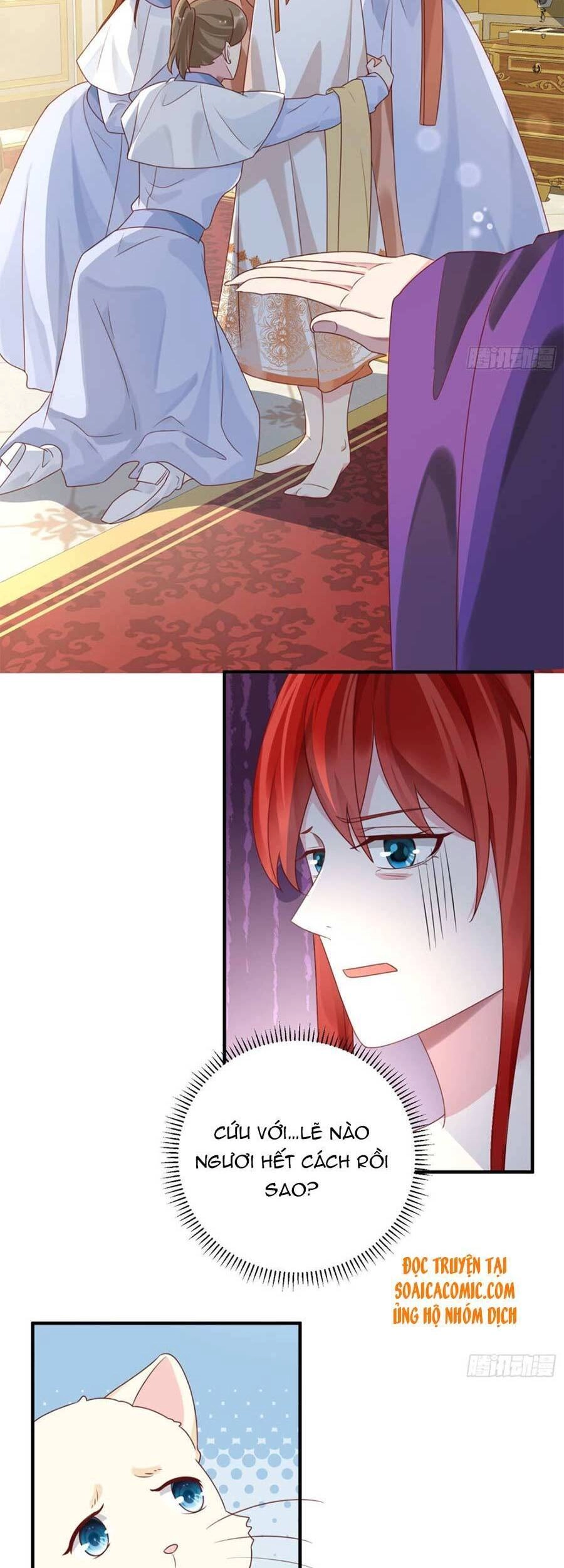 Dã Nam Nhân Đều Muốn Gả Cho Ta Chapter 13 - 9