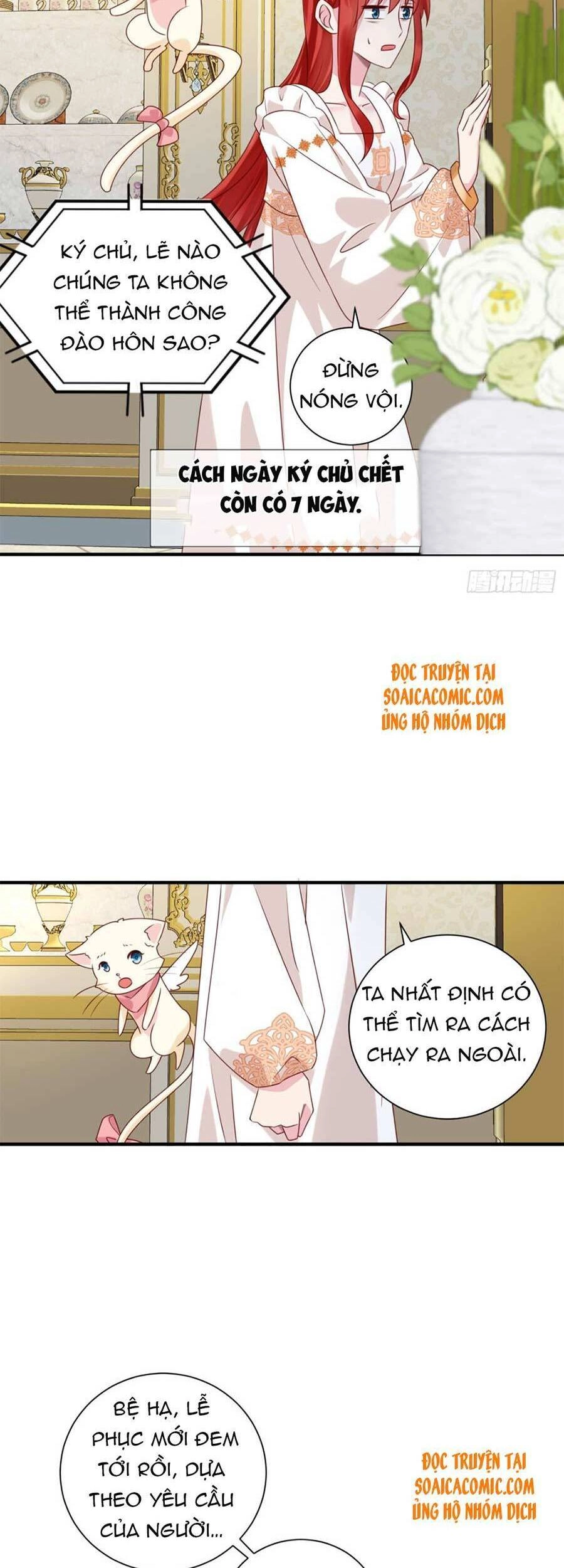 Dã Nam Nhân Đều Muốn Gả Cho Ta Chapter 14 - 4