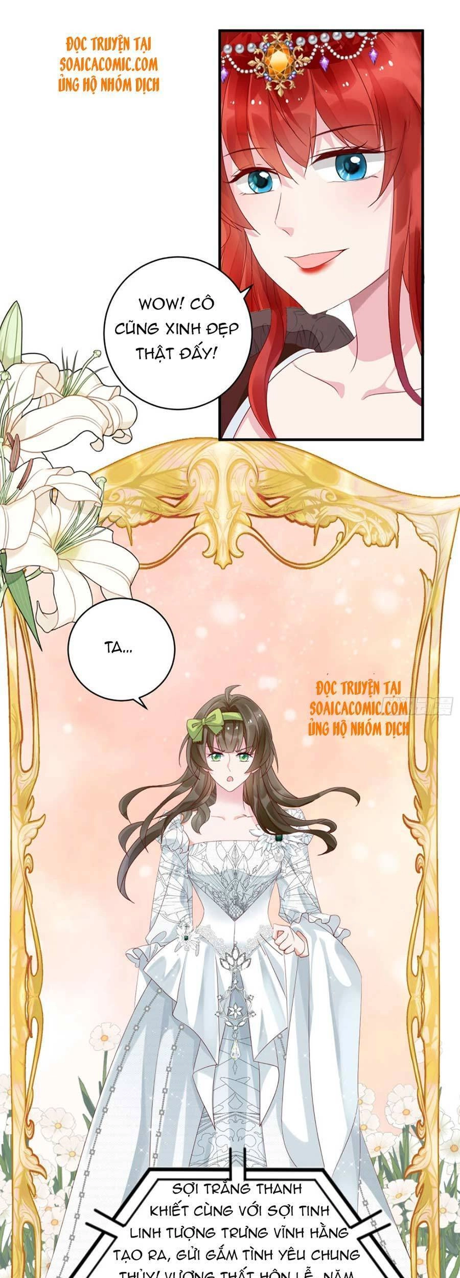 Dã Nam Nhân Đều Muốn Gả Cho Ta Chapter 14 - 11