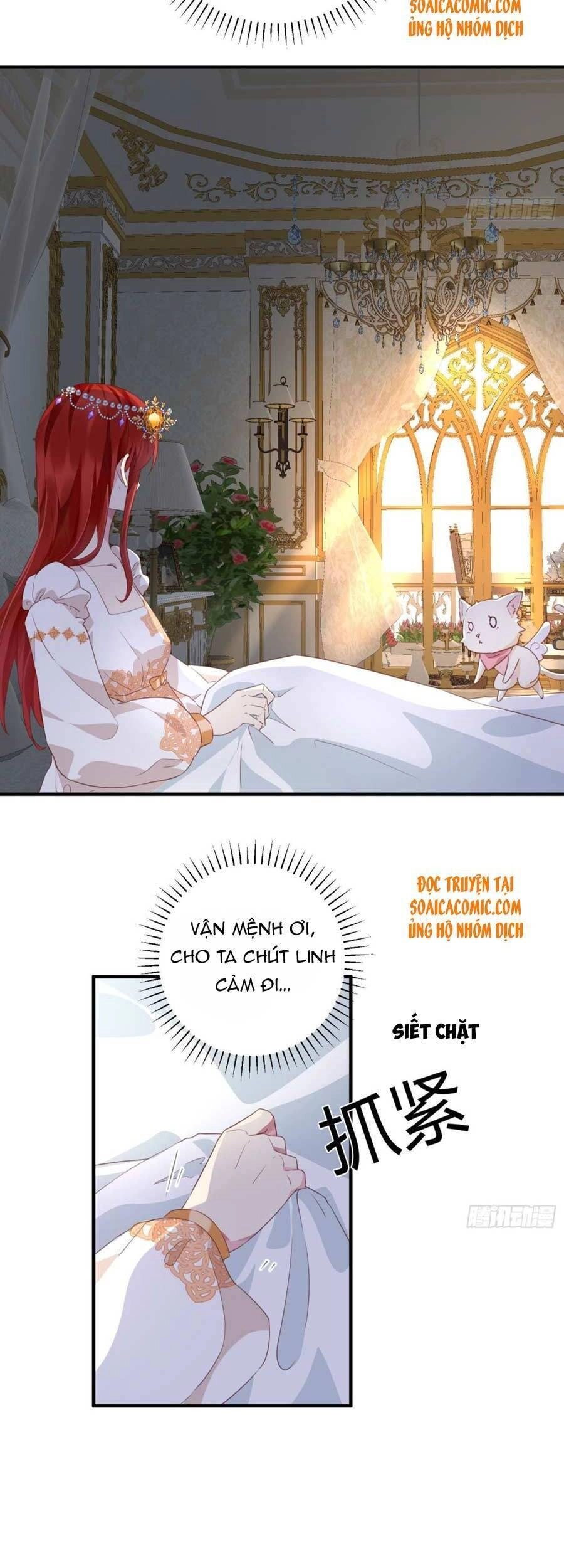 Dã Nam Nhân Đều Muốn Gả Cho Ta Chapter 15 - 3