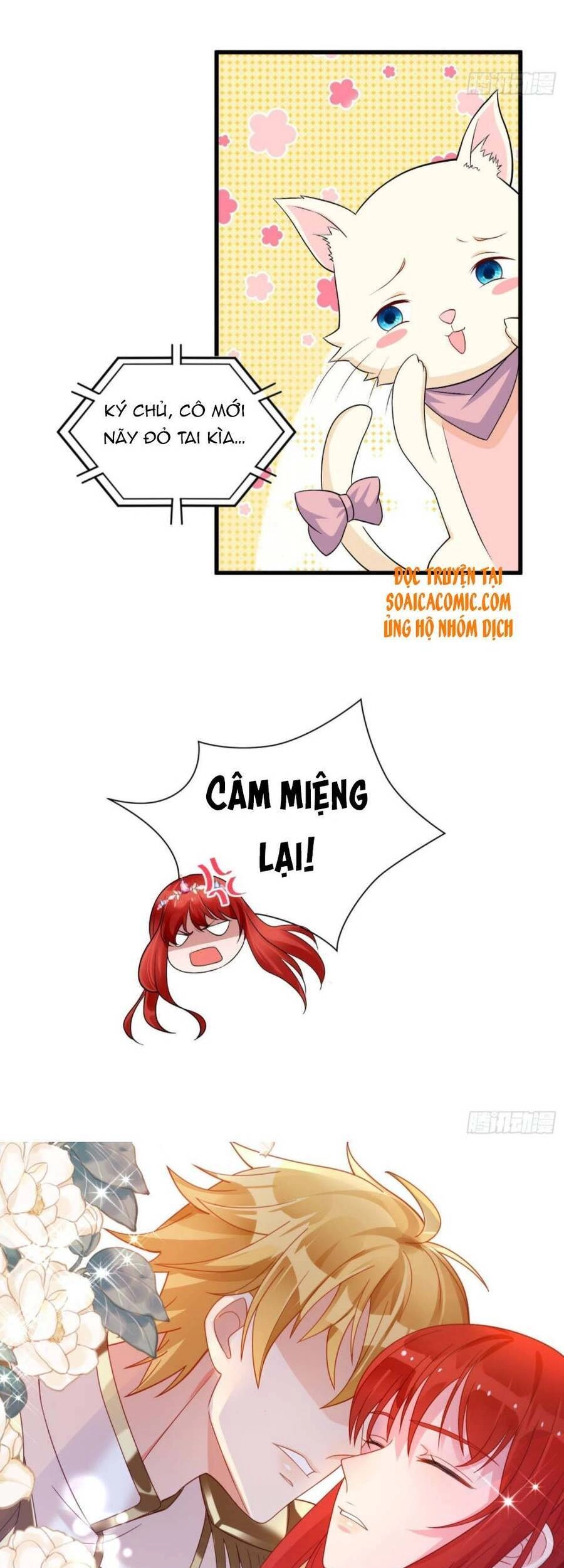 Dã Nam Nhân Đều Muốn Gả Cho Ta Chapter 23 - 6