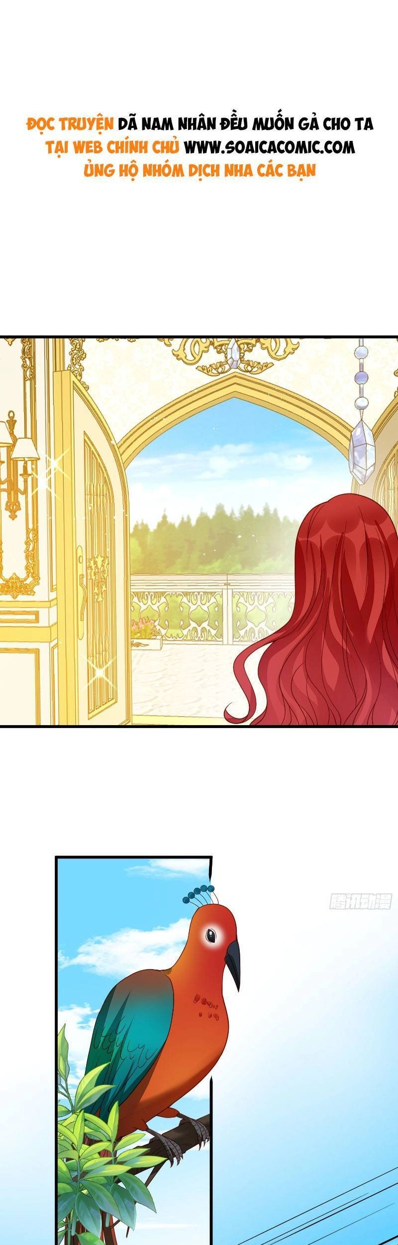 Dã Nam Nhân Đều Muốn Gả Cho Ta Chapter 39 - 1