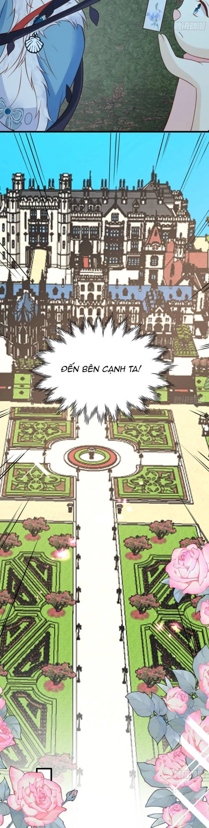 Dã Nam Nhân Đều Muốn Gả Cho Ta Chapter 81 - 11