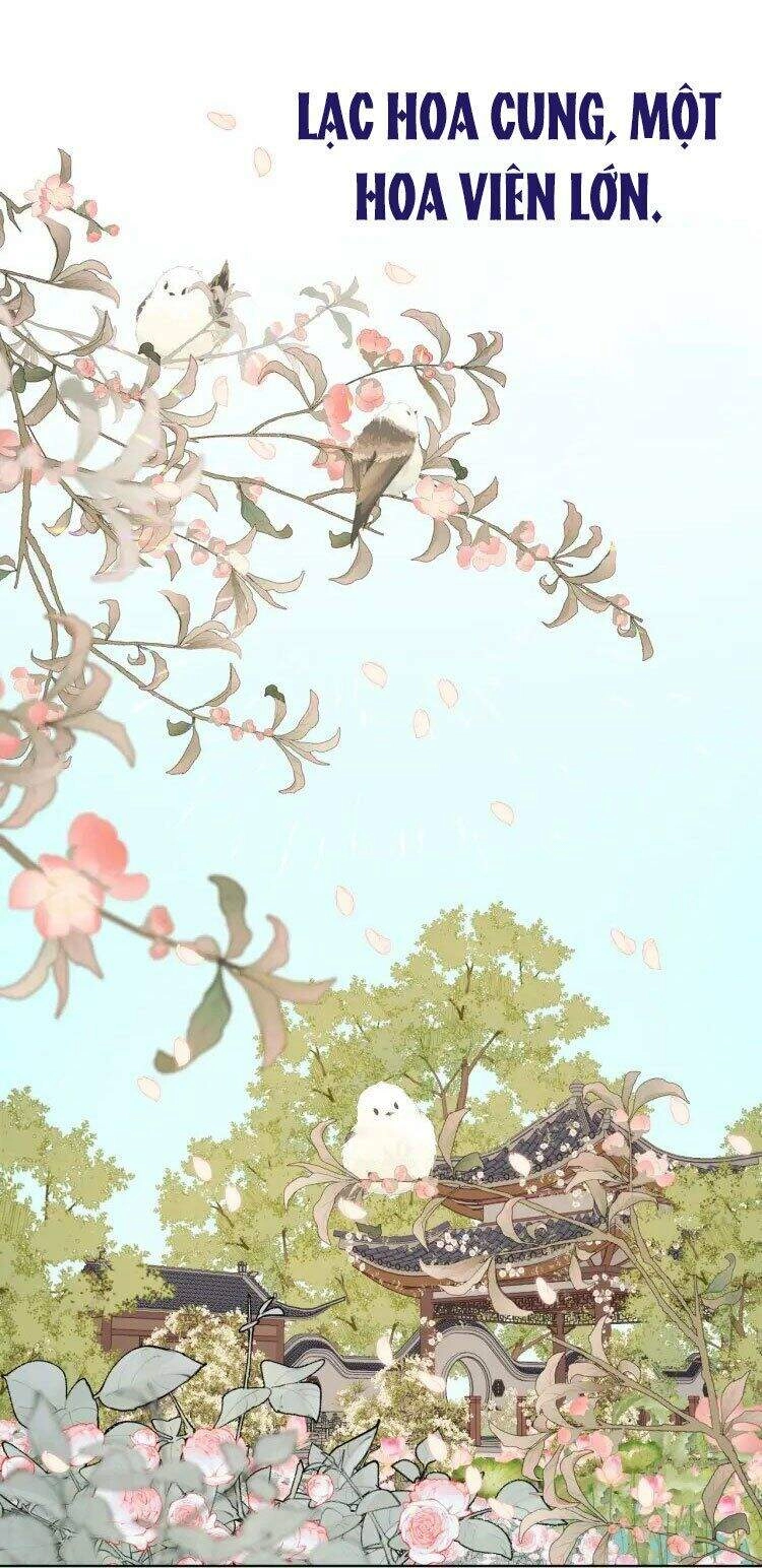 Ác Nữ Cự Tuyệt Cua Nam Chính Chapter 24 - 32