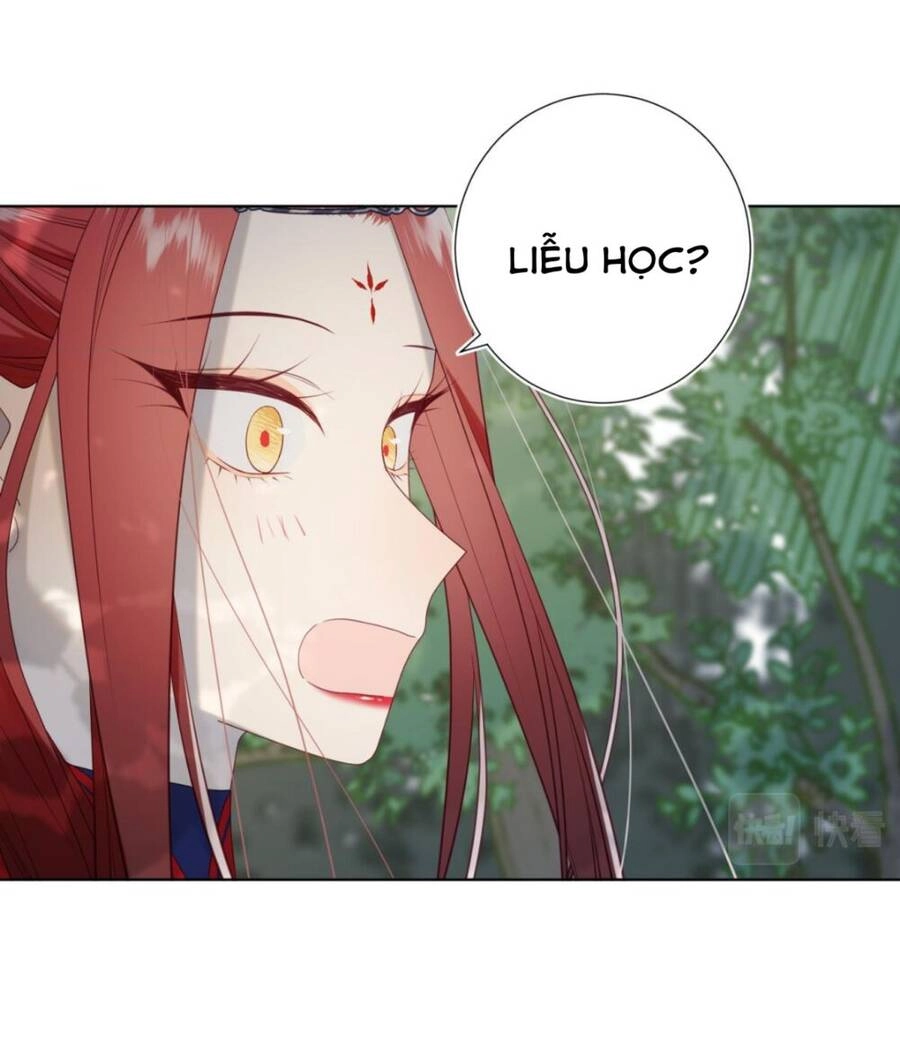 Ác Nữ Cự Tuyệt Cua Nam Chính Chapter 67 - 51