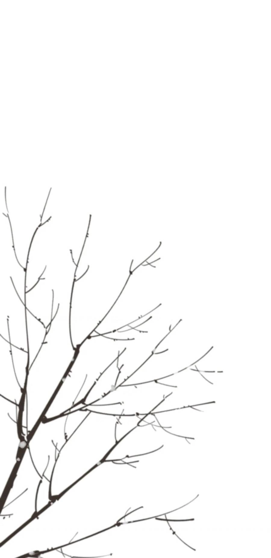 Ác Nữ Cự Tuyệt Cua Nam Chính Chapter 105 - 22