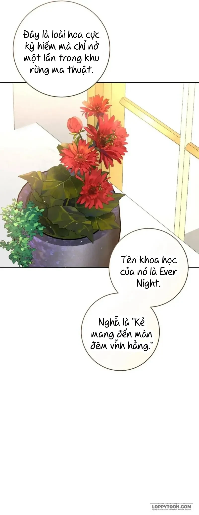 Cuộc Hôn Nhân Xa Hoa Của Đại Công Tước Là Giả Chapter 103 - 6