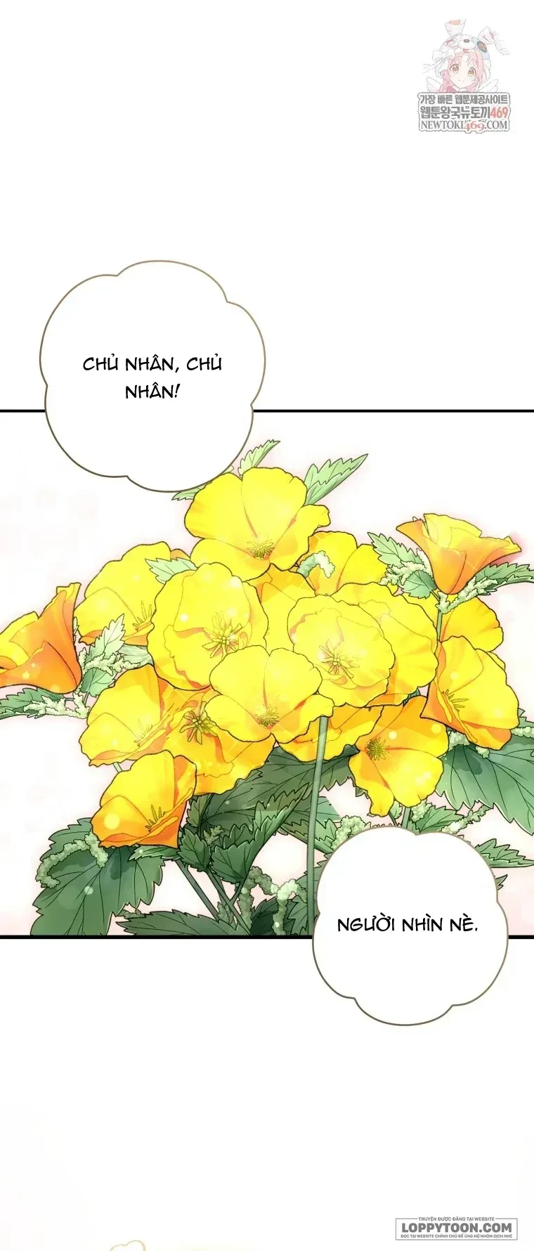 Cuộc Hôn Nhân Xa Hoa Của Đại Công Tước Là Giả Chapter 114 - 1