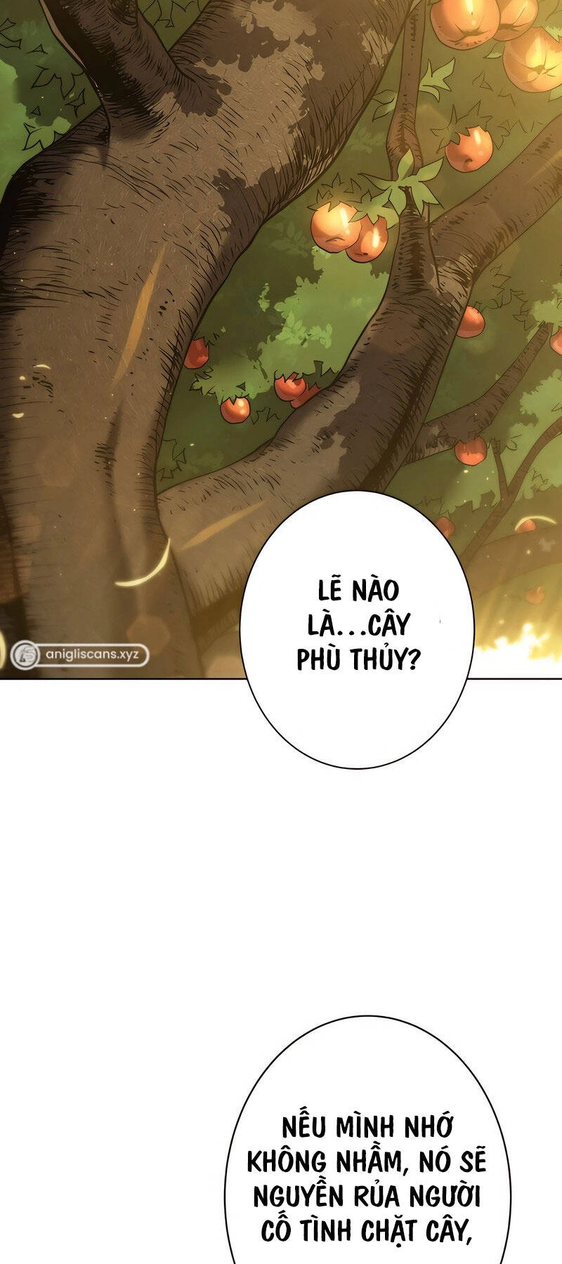 Đấng Cứu Thế Hồi Quy Chapter 2 - 12