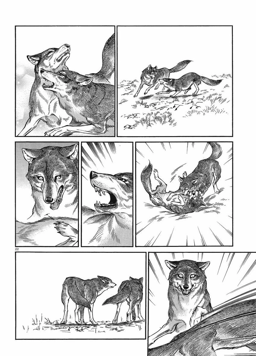 Cô Dâu Thảo Nguyên Chapter 18 - 23