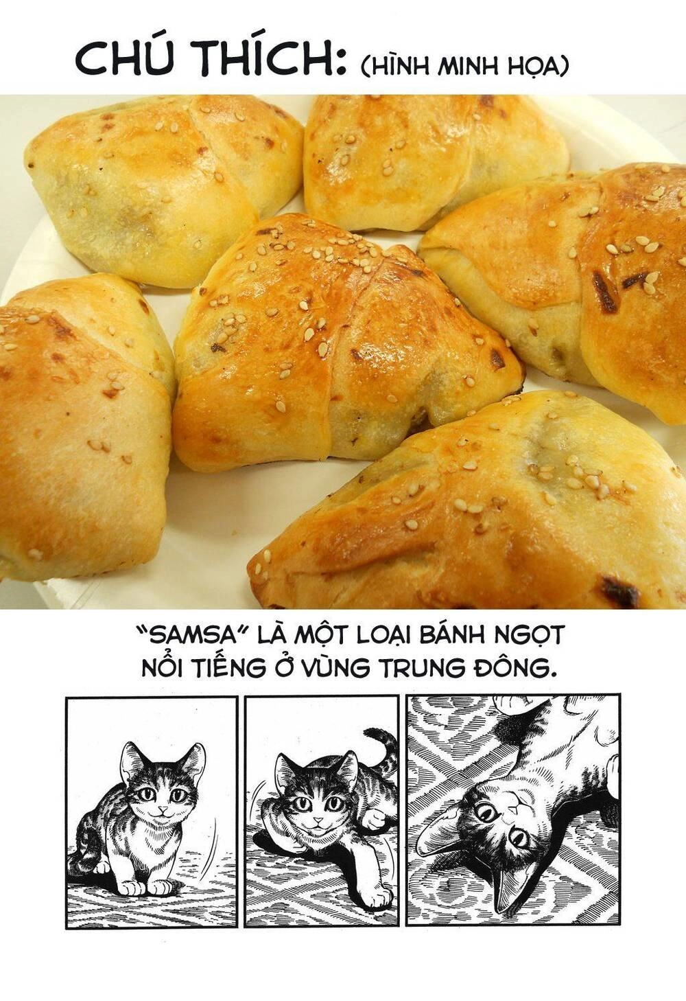 Cô Dâu Thảo Nguyên Chapter 78 - 9