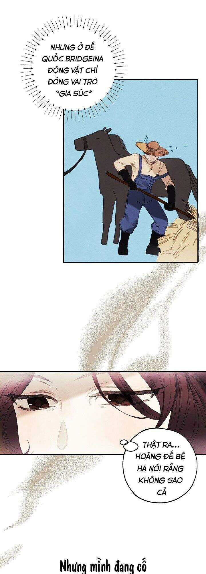 Tiệm Búp Bê Của Công Chúa Chapter 5 - 12