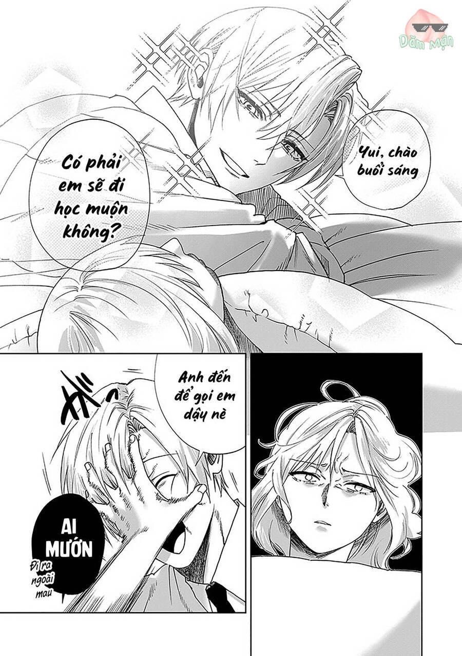 Em Gái Tôi Cảm Thấy Phiền Phức Với Anh Trai Siscon Chapter 2 - 4