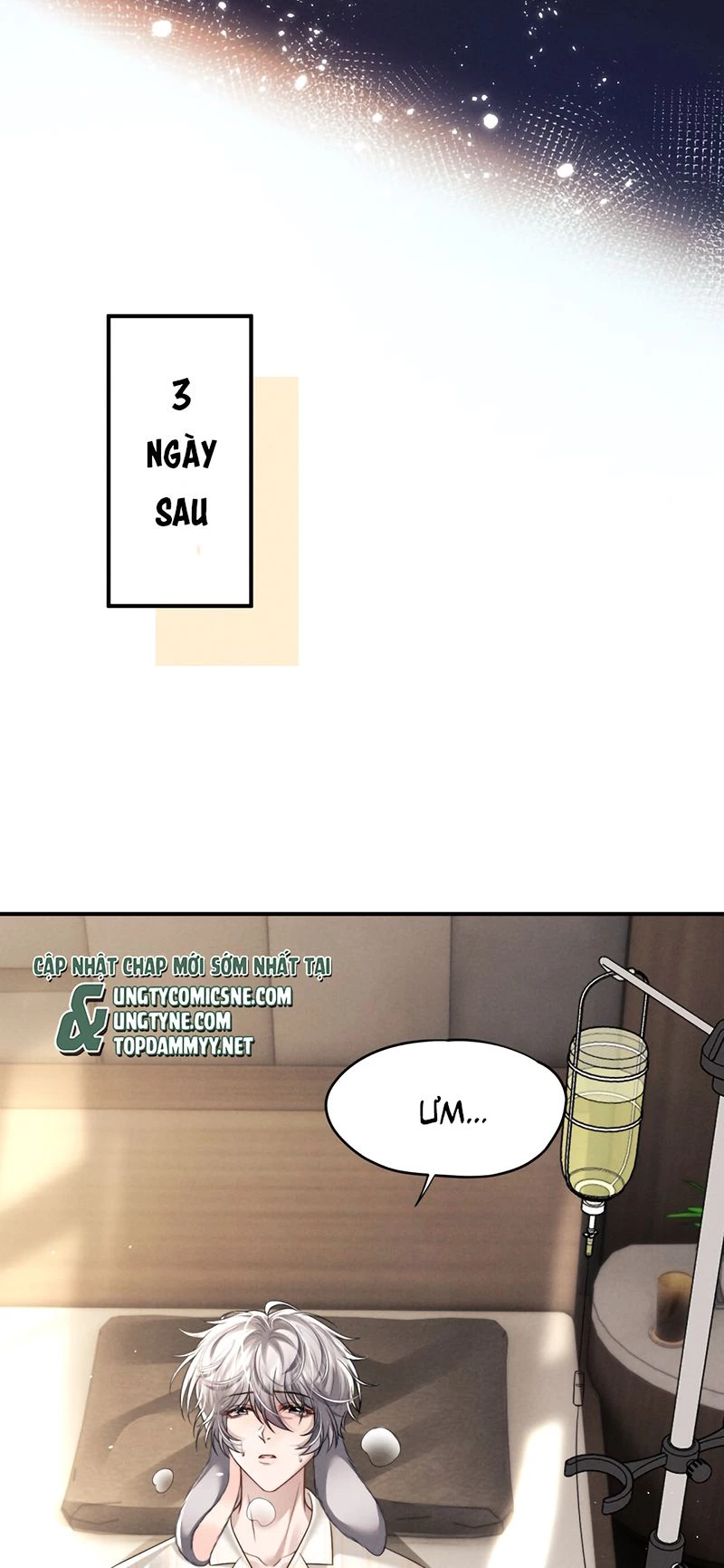 Chấp Sự Thỏ Cụp Tai Chapter 182 - 5