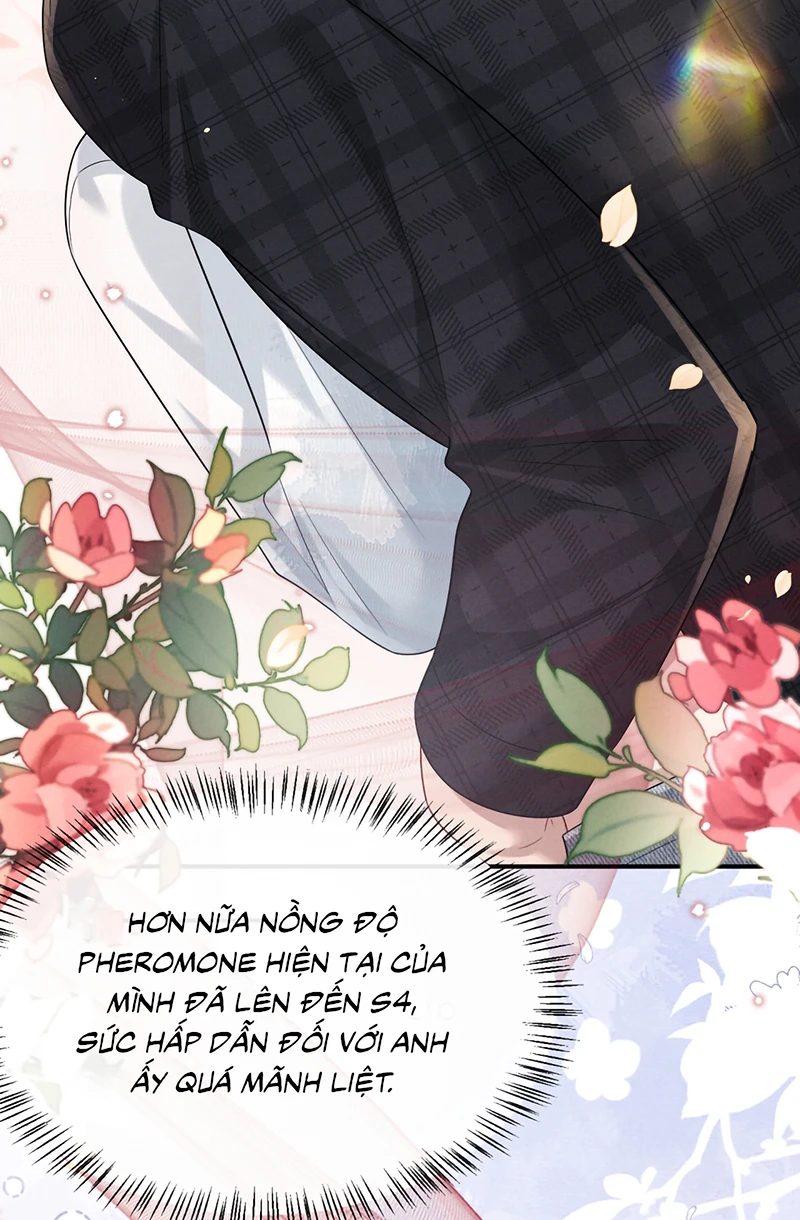 Chấp Sự Thỏ Cụp Tai Chapter 193 - 22