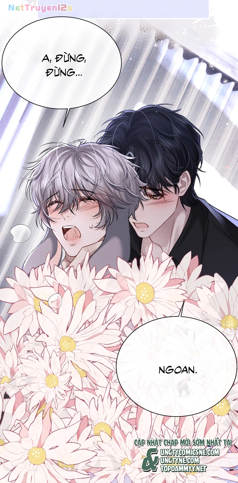 Chấp Sự Thỏ Cụp Tai Chapter 194 - 9