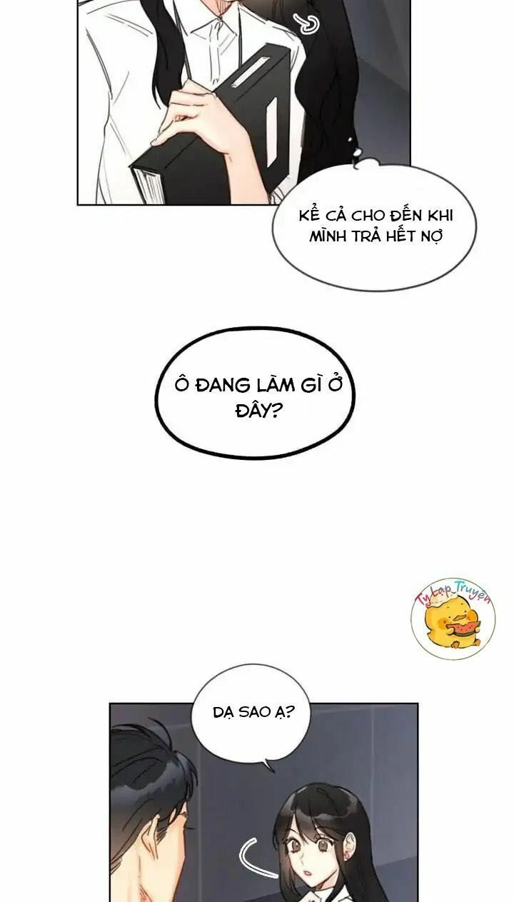 Hẹn Hò Nơi Công Sở Chapter 5 - 14